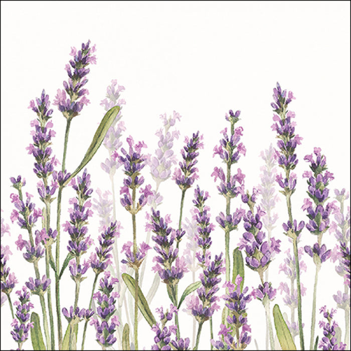 Lavender shades white Servietten 33x33cm