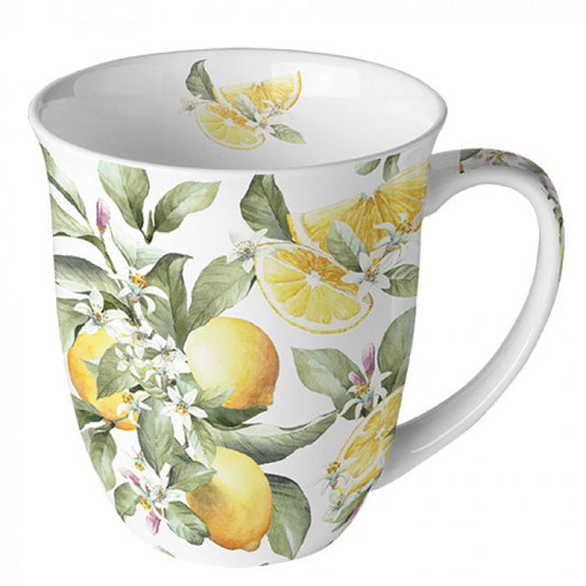 Limoni Tasse